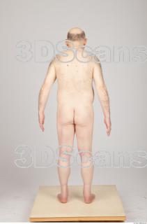 Body texture of Vratislav 0005